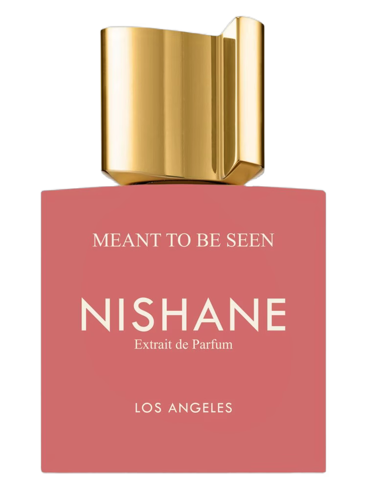 Meant To Be Seen Nishane